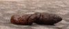 1620356777200.png