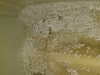 20210523_141904.jpg