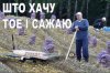 В-свете-последних-событий-лукашенко-политика-песочница-политоты-6703684.jpeg