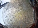 20210529_064815.jpg