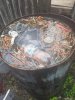 фото-бочка-шприцы-наркотики-6745533.jpeg