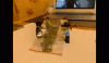 марихуана-Лего-420-песочница-6542546.gif