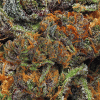__5f3e671d5d45ecd68d7901528a9a1290_width-300.gif