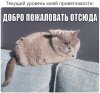 lrlhCYe-ZVo.jpg