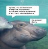Легкая-наркомания-7039702.jpeg