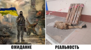 16428755416870.png