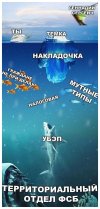 Приколы-для-даунов-разное-7165073.jpeg