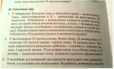 Чебурашка-задачки-Легкая-наркомания-обидаепанная-1598108.png