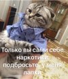 сами-наркотики-подбросьте-у-меня-лапки.jpg
