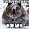 собакен-снег-4459315.png