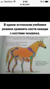 716E3681-C9C3-49FD-99AA-ED4AF27BCBE3.png