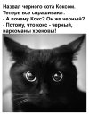 кокс-производство-4466156.jpeg