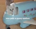 Роскосмос-Рогозин-Россия-страны-4472229.jpeg