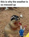 __7311fd2242f9d0f9d06d46b185bc14a4_width-600.jpeg