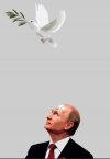 Вторжение-в-Украину-2022-политика-песочница-политоты-путин-7239376.jpeg