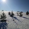 IMG20220302135114.jpg