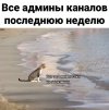 политика-песочница-политоты-7246570.jpeg