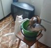 IMG_20220224_093338.jpg