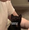Приколы-для-даунов-разное-7250471.jpeg