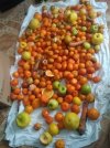 IMG_20220107_143924.jpg