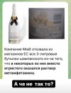 песочница-вино-бухло-случайность-7263028.jpeg