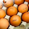 Вторжение-в-Украину-2022-политика-песочница-политоты-продукты-7263568.jpeg