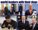 политика-собаки-страны-Джо-Байден-7262723.jpeg