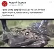 Я-Ватник-фэндомы-7265521.jpeg