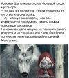 Наркомания-разное-красная-шапочка-2401566 (1).jpeg