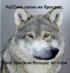 Вторжение-в-Украину-2022-политика-песочница-политоты-Волчья-философия-7260112.png