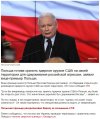 польша-стронг-много-ходов-очка-7302142.jpeg