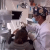 гифки-стоматолог-7306738.gif