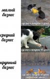 котэ-бизнес-сделка-деньги-7315880.jpeg