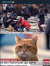 Вторжение-в-Украину-2022-политика-котэ-Буча-4519341.jpeg