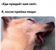 food-porn-food-красивые-картинки-art-4523232.jpeg