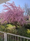 IMG_20220418_110145.jpg