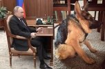 политика-песочница-политоты-7335365.jpeg