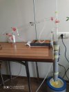 Resizer_16509110464801.jpg