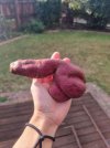 песочница-картошка-7351298.jpeg