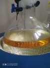 Resizer_16513484801445.jpg