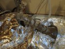 Resizer_16513820896391.jpg