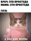 Google-интернет-диагноз-кот-7360631.jpeg