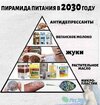 питание-пирамида-2030-7361980.jpeg