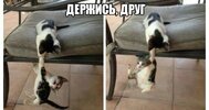 b661c2362315d26ee7572fe96f688a20.jpg