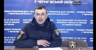 политика-песочница-политоты-Вторжение-в-Украину-2022-пес-патрон-7368926.jpeg
