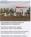 политика-песочница-политоты-Омск-Новосибирск-7385629.jpeg