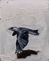 __86b3f45cce57eadf85a81be78bc1dcc3_width-300.gif