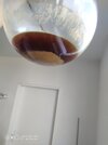 Resizer_165320201306913.jpg