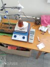 Resizer_165320205256723.jpg