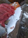 IMG_20220522_201014.jpg